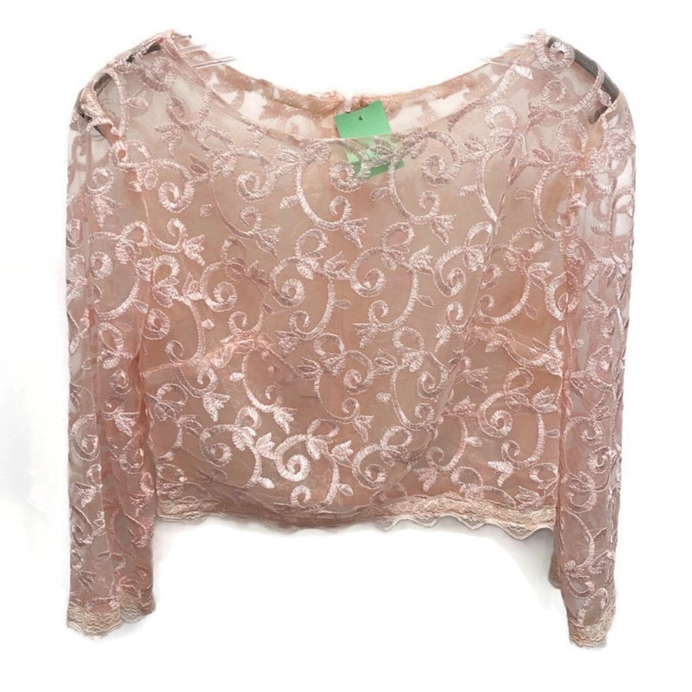 Boutique Pale Pink Sheer Embroidered Crop Blouse
